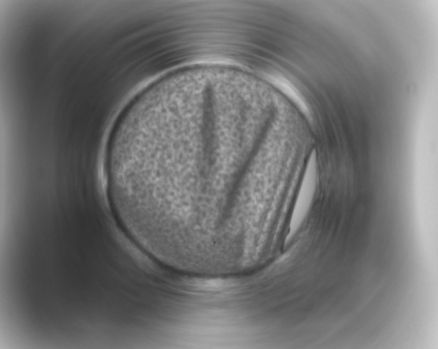 X0000088701084200706211940