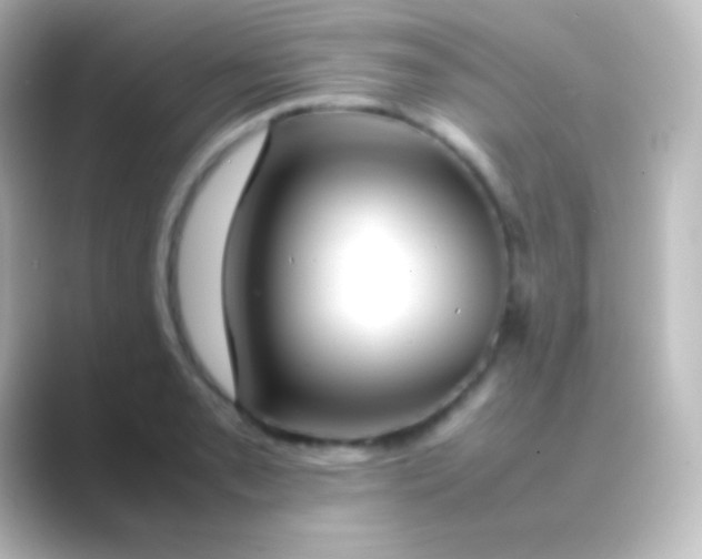 X0000088701085200706211940