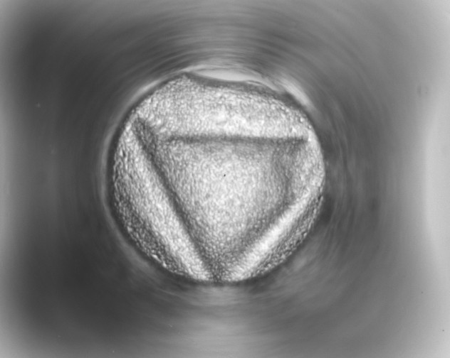 X0000088701087200706211940