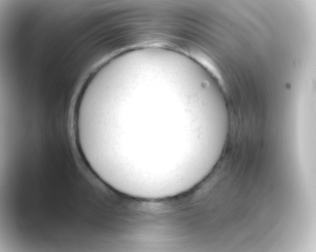 X0000088701088200706211940