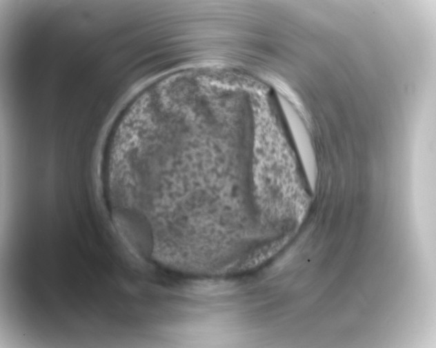 X0000088701091200706211940