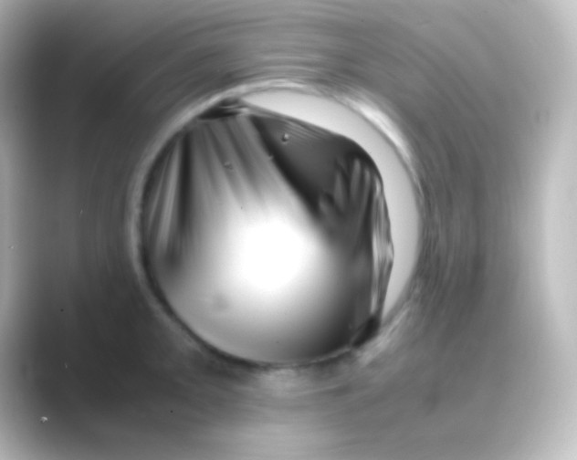 X0000088701093200706211940