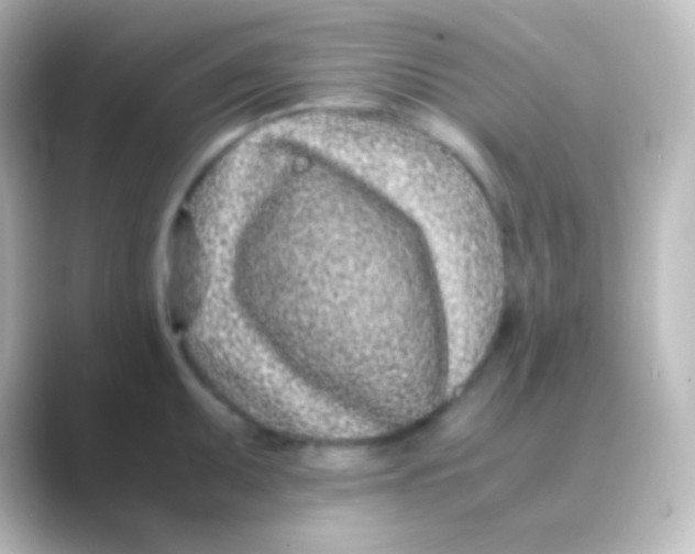 X0000088701095200706211940