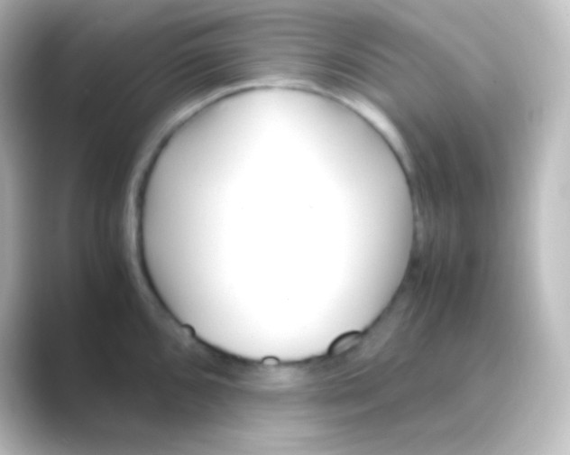 X0000088701096200706211940