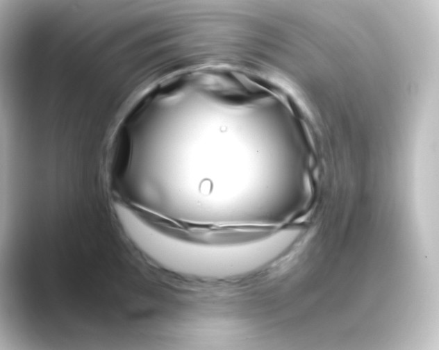 X0000088701097200706211940