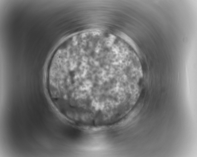 X0000088701099200706211940