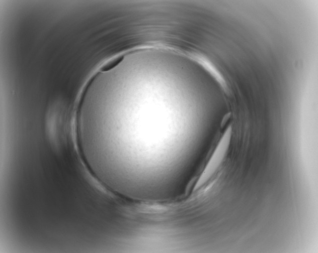 X0000088701100200706211940