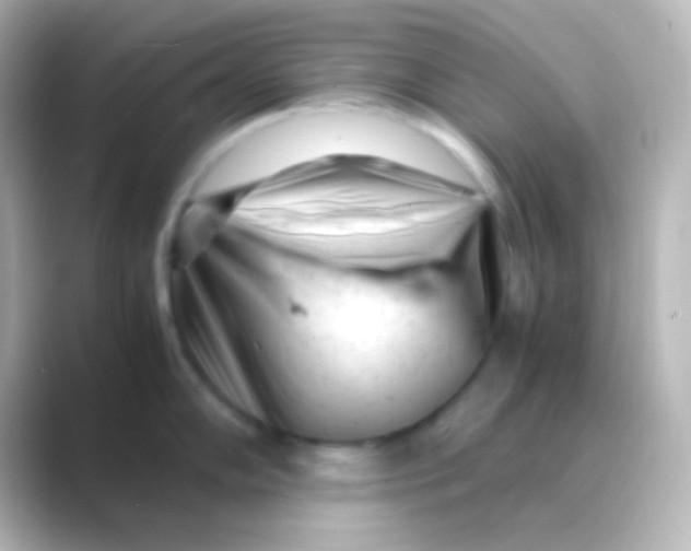 X0000088701102200706211940
