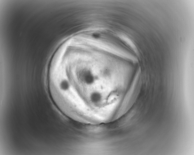 X0000088701103200706211940