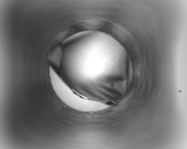 X0000088701108200706211939