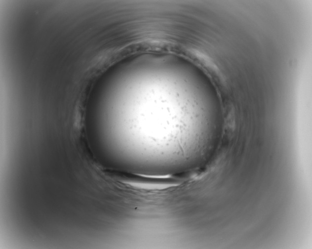 X0000088701110200706211939