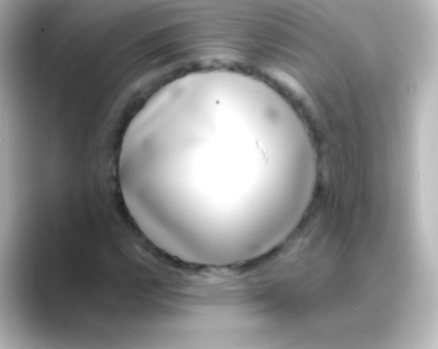 X0000088701112200706211939