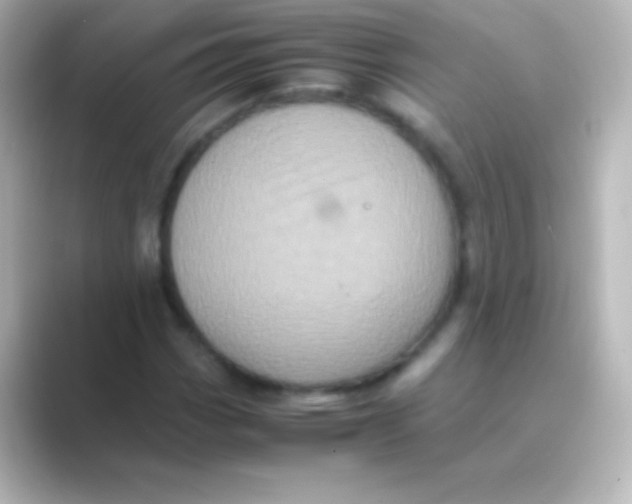 X0000088701113200706211939