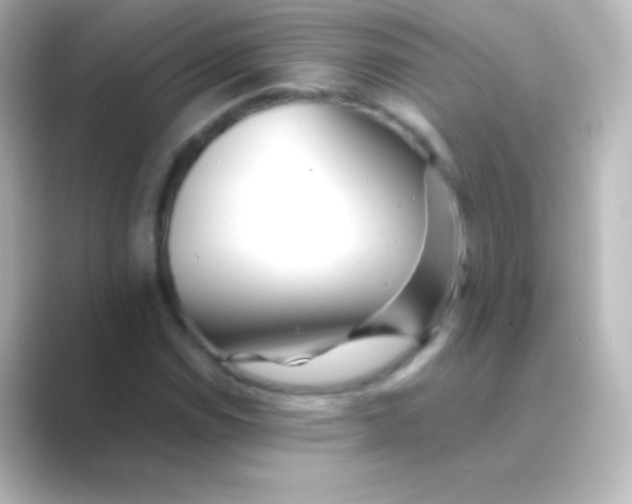 X0000088701114200706211939