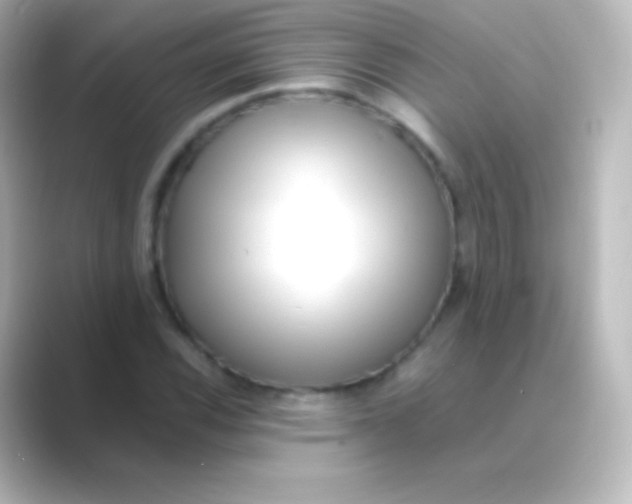 X0000088701116200706211940