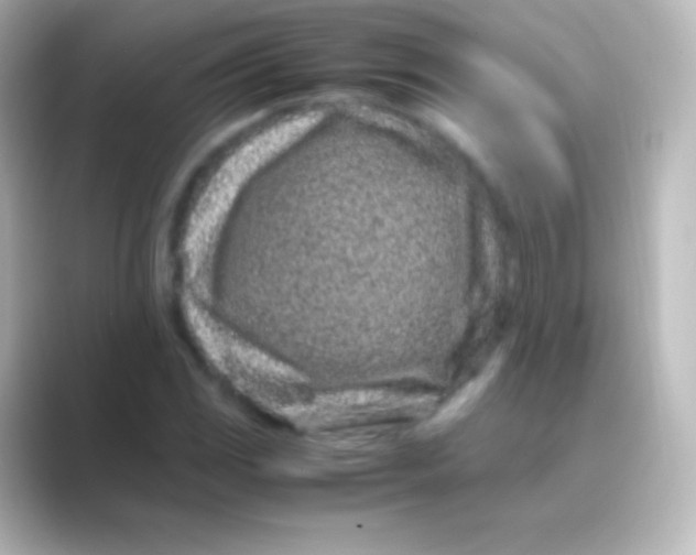 X0000088701117200706211940
