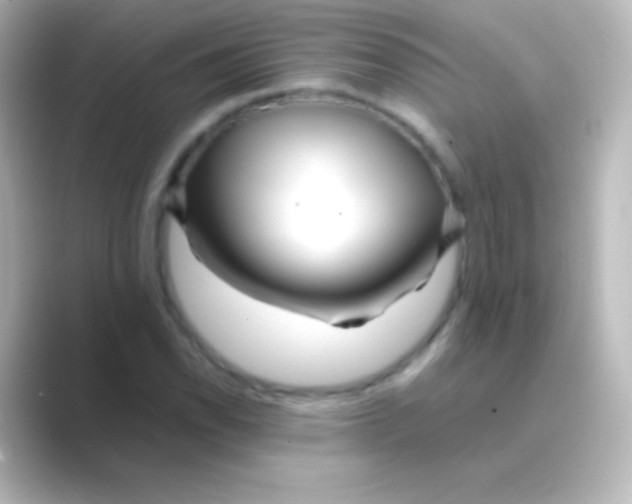 X0000088701118200706211940