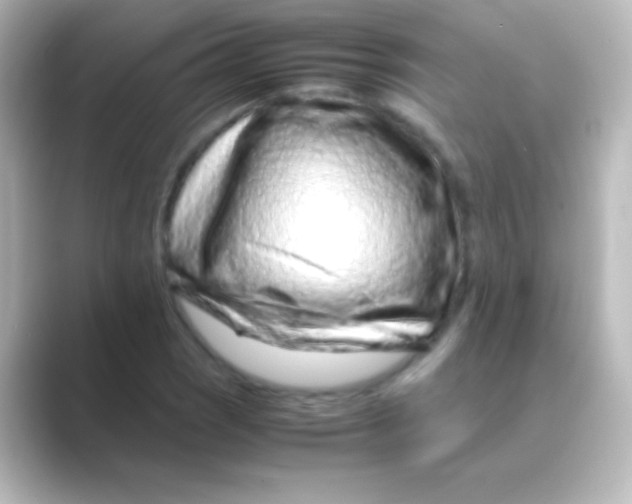 X0000088701121200706211940
