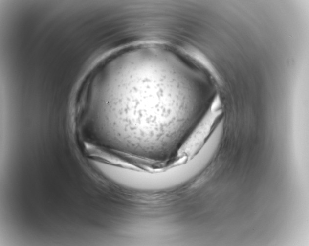 X0000088701124200706211940