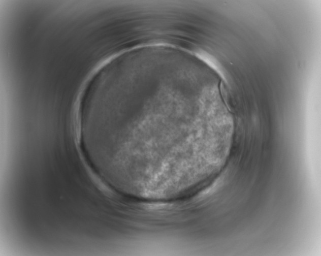 X0000088701127200706211940