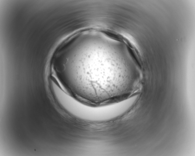 X0000088701128200706211940