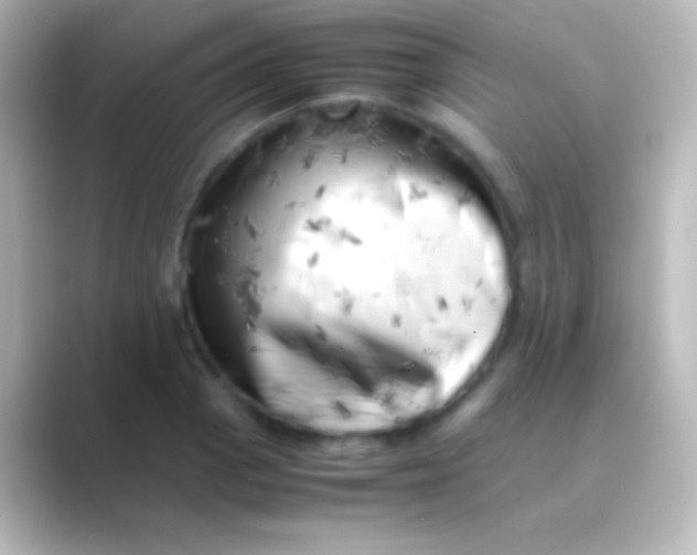 X0000088701129200706211940