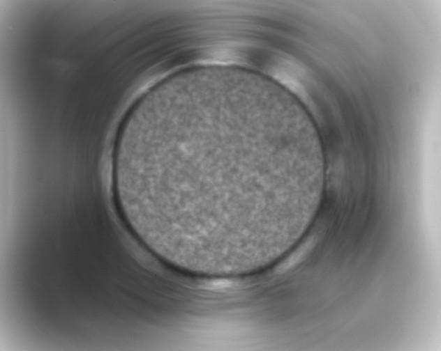 X0000088701130200706211940