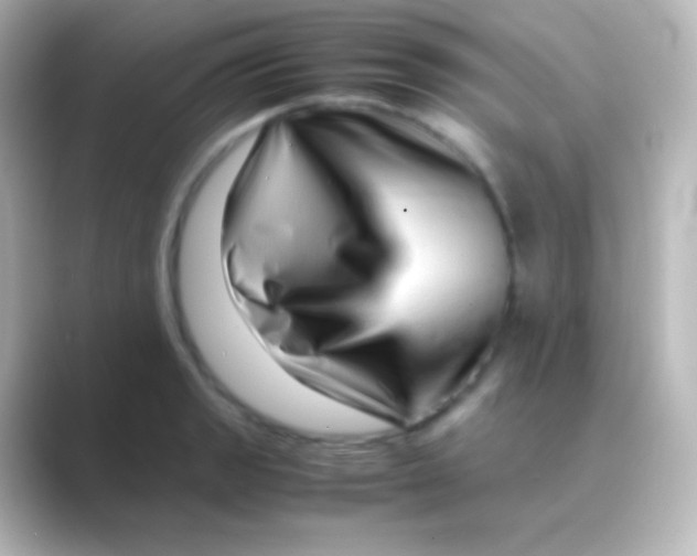 X0000088701133200706211940