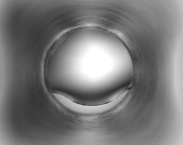 X0000088701134200706211940