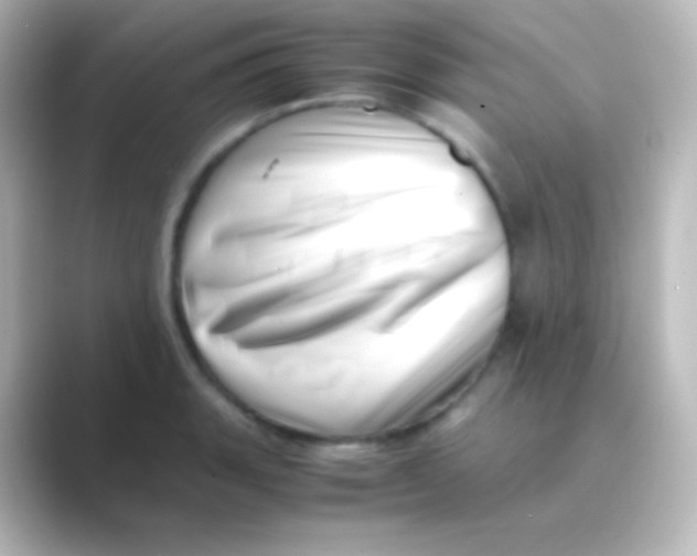 X0000088701135200706211940
