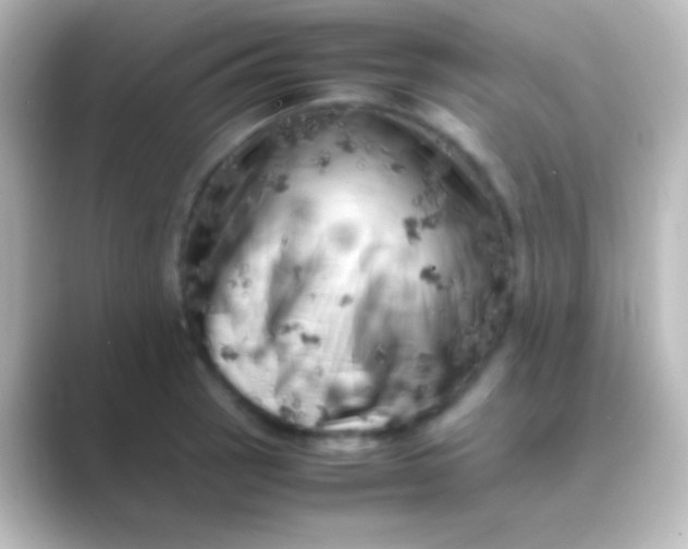 X0000088701137200706211940