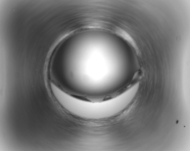 X0000088701138200706211940
