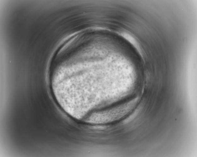 X0000088701141200706211940