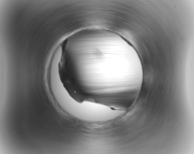 X0000088701144200706211940