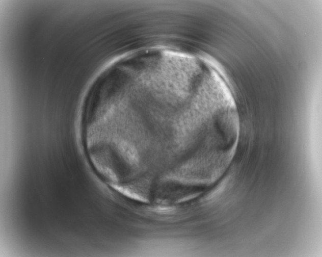 X0000088701147200706211940