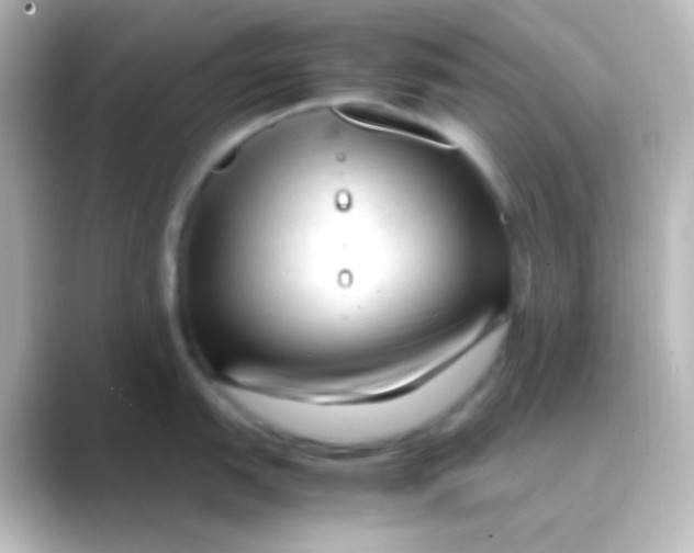 X0000088701151200706211940