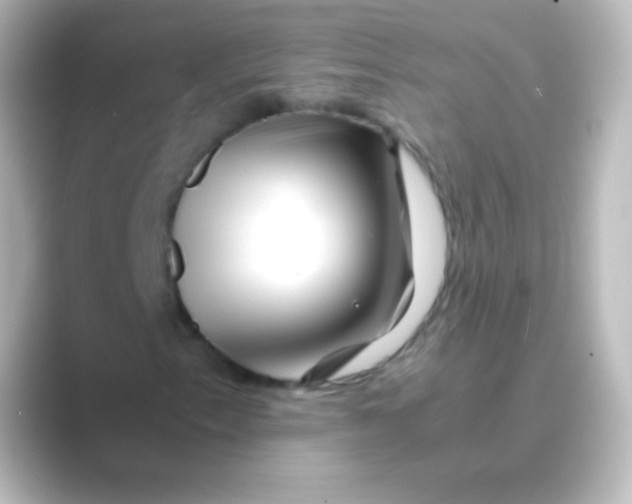X0000088701153200706211939