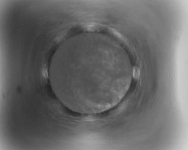 X0000088701155200706211939