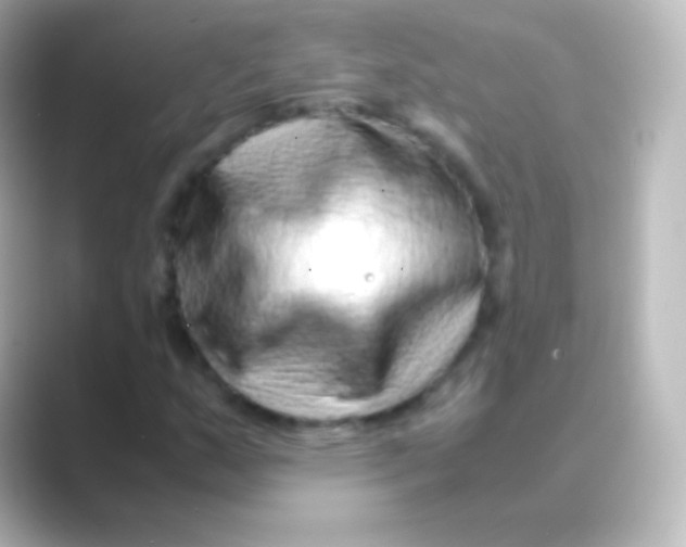 X0000088701159200706211939