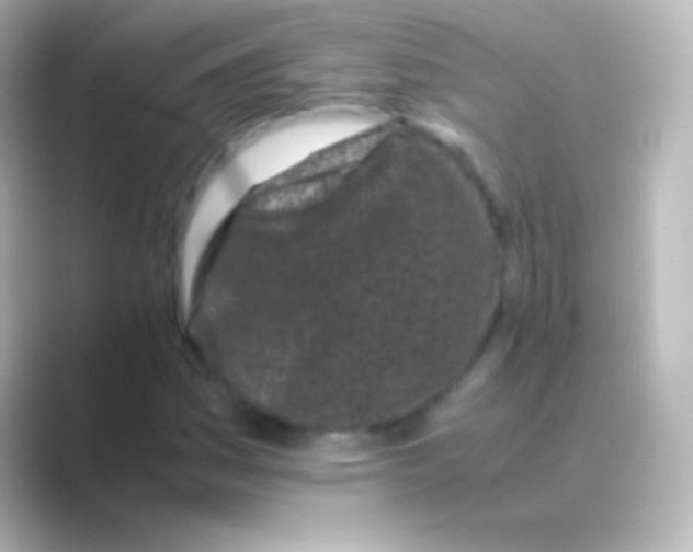 X0000088701161200706211939