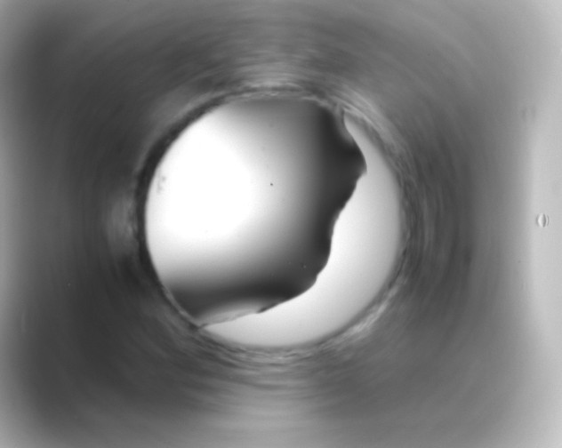 X0000088701164200706211939