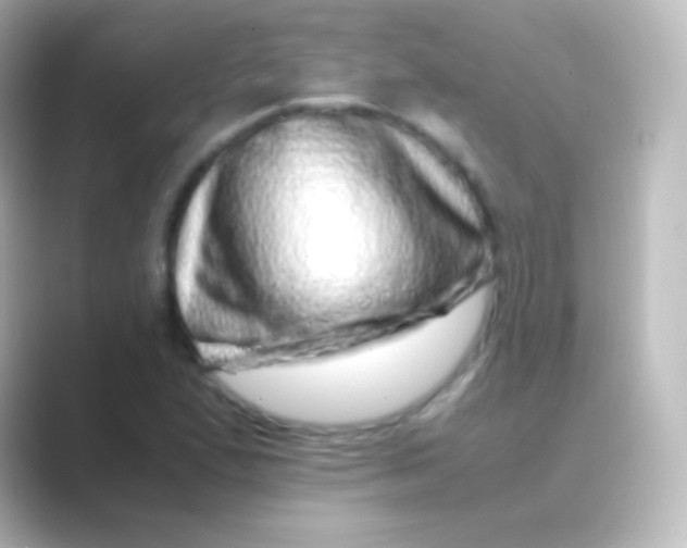 X0000088701167200706211939