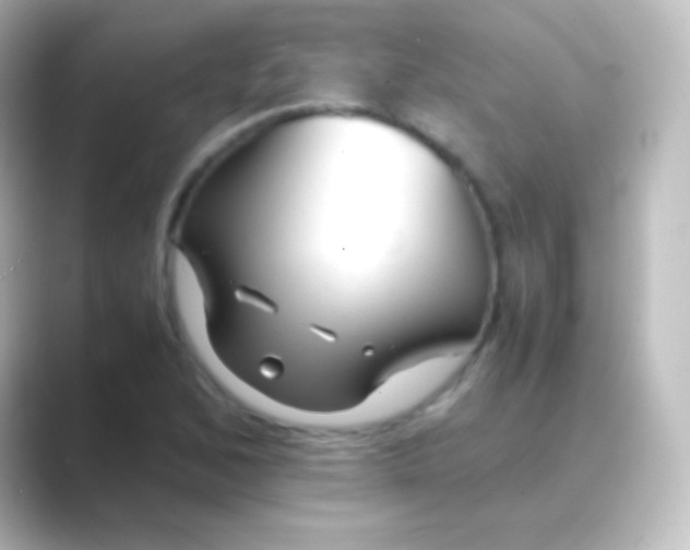 X0000088701168200706211939
