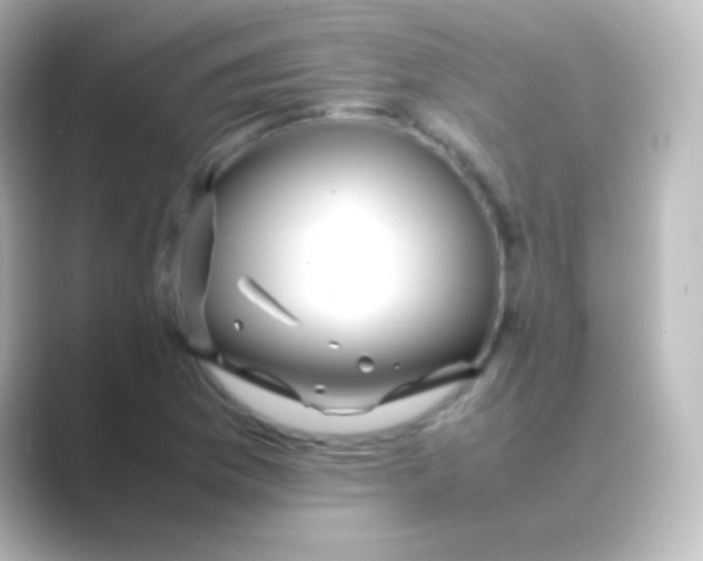 X0000088701169200706211939