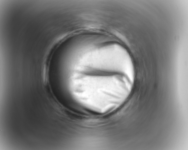 X0000088701171200706211939