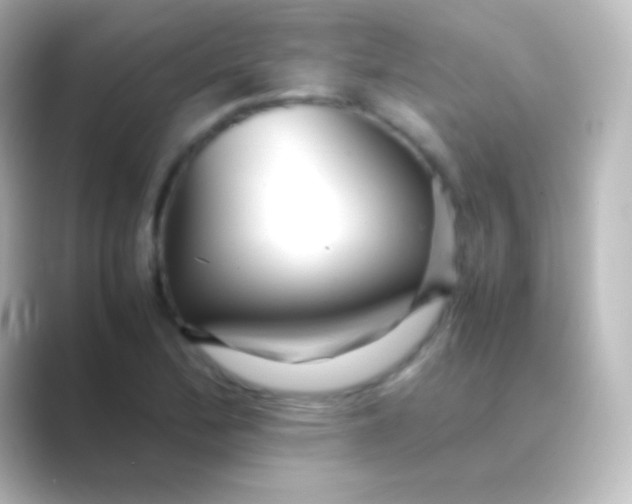 X0000088701172200706211939