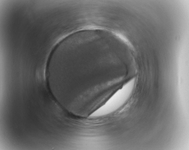 X0000088701173200706211939