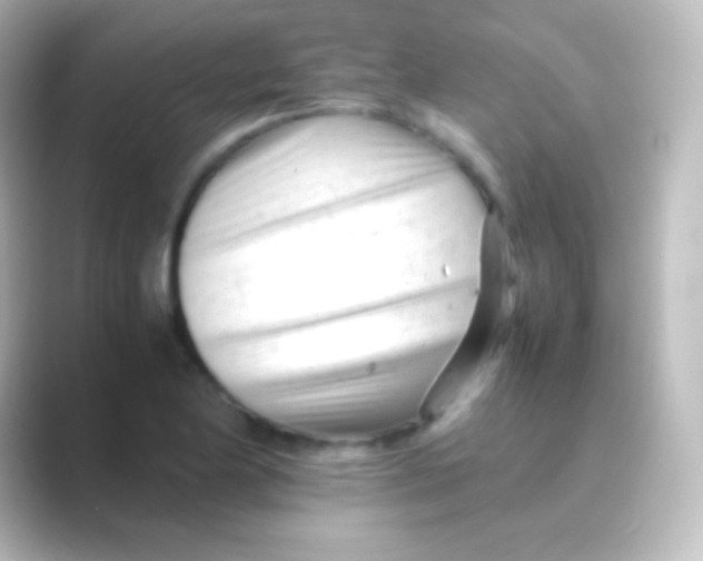 X0000088701174200706211939