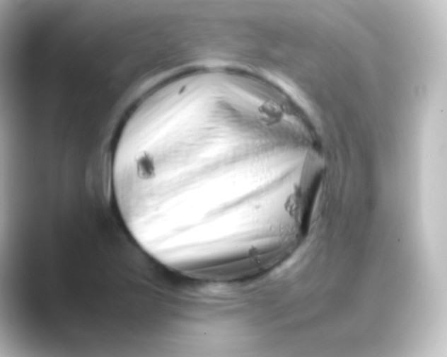 X0000088701175200706211939