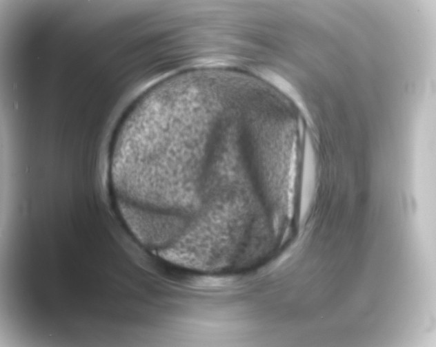 X0000088701179200706211939